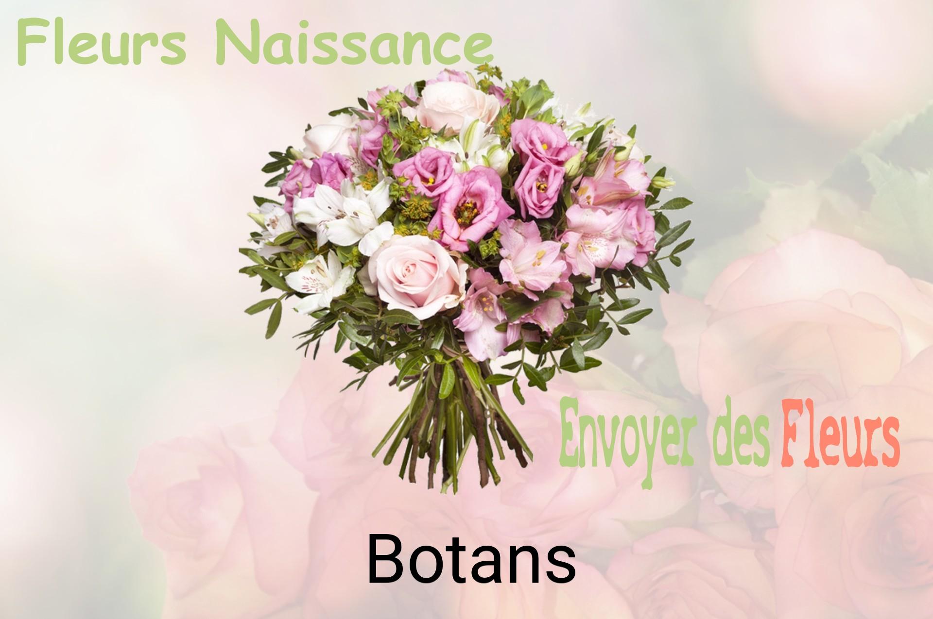 Bouquet de fleurs de naissance livré à Botans