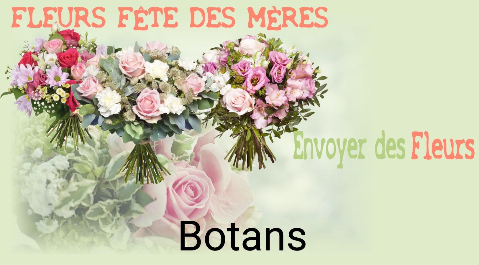 Bouquet de Fête des Mères livré à Botans